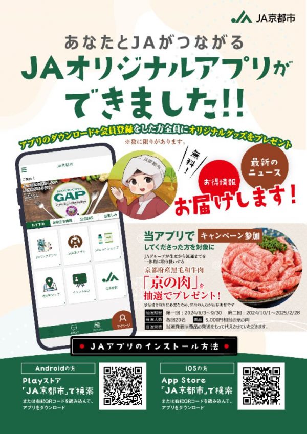 チラシのサムネイル