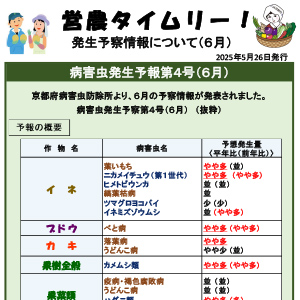 発生予察情報について（６月）